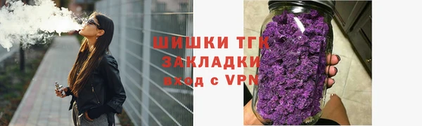 Альфа ПВП Няндома