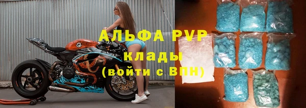 Альфа ПВП Няндома