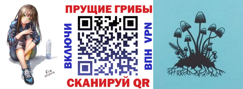 как найти закладки  Волжск  MEGA ссылка  Псилоцибиновые грибы мицелий 