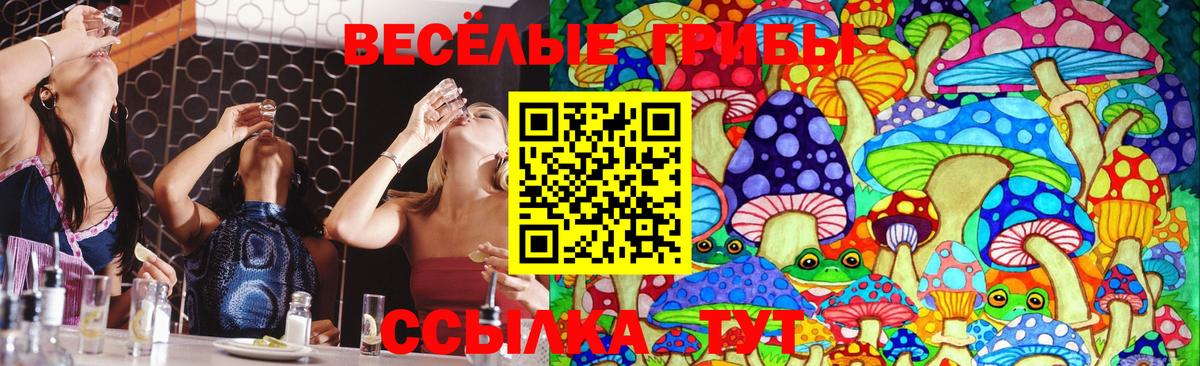 Псилоцибиновые грибы MAGIC MUSHROOMS Волжск